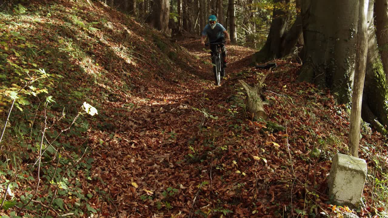 tiro completo, ciclista cuesta abajo moliendo el sendero en chiemgauer alpen, hojas secas y árboles en el fondo durante el otoño