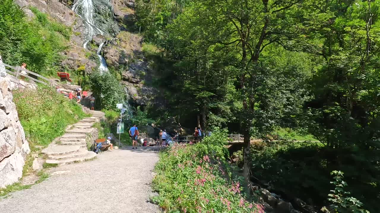 Vacker utsikt över vattenfall och skog