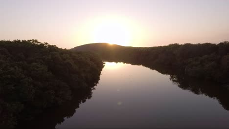 AERIAL---Birds-fly-over-beautiful-creek-at-sunset