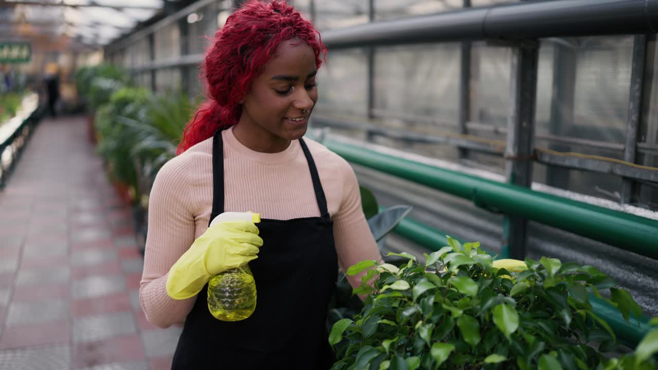 Jovem indiana regando plantas em estufa com borrifador.