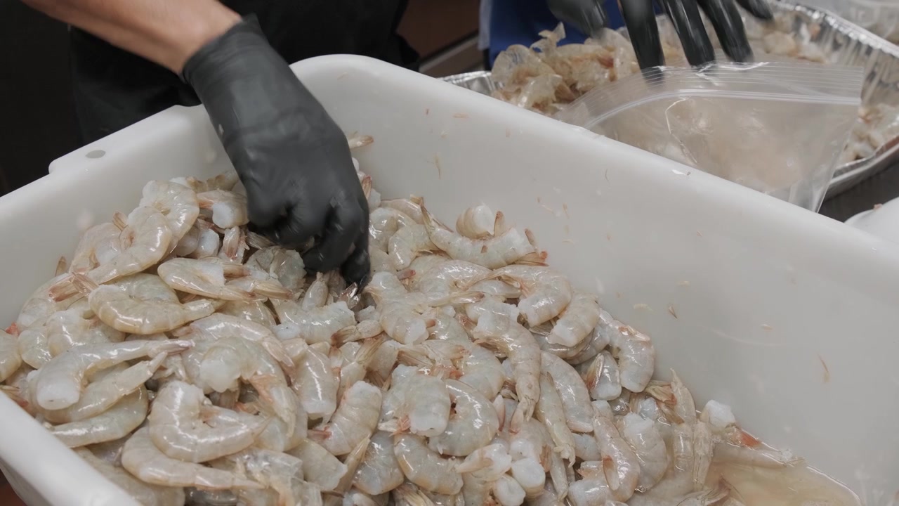 Due cuochi che sgusciano gamberi freschi a mano in una cucina professionale, preparando frutti di mare per la cottura, rappresentando la lavorazione alimentare, la preparazione per ristoranti, il lavoro culinario e la produzione di frutti di mare