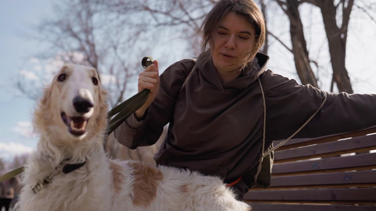 Donna seduta su una panchina con due grandi cani bianchi, tenendo i loro guinzagli. La donna interagisce con calma mentre i cani appaiono felici e coinvolti in un ambiente di parco all'aperto con alberi visibili sullo sfondo.
