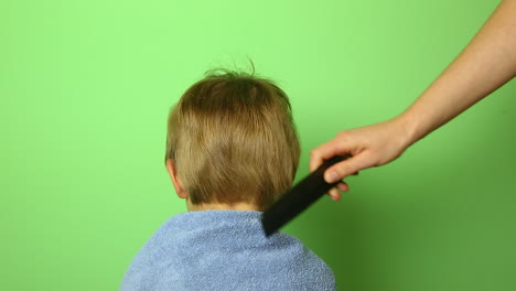 woman hand comb small boy blond hair, head close up isolated on green background