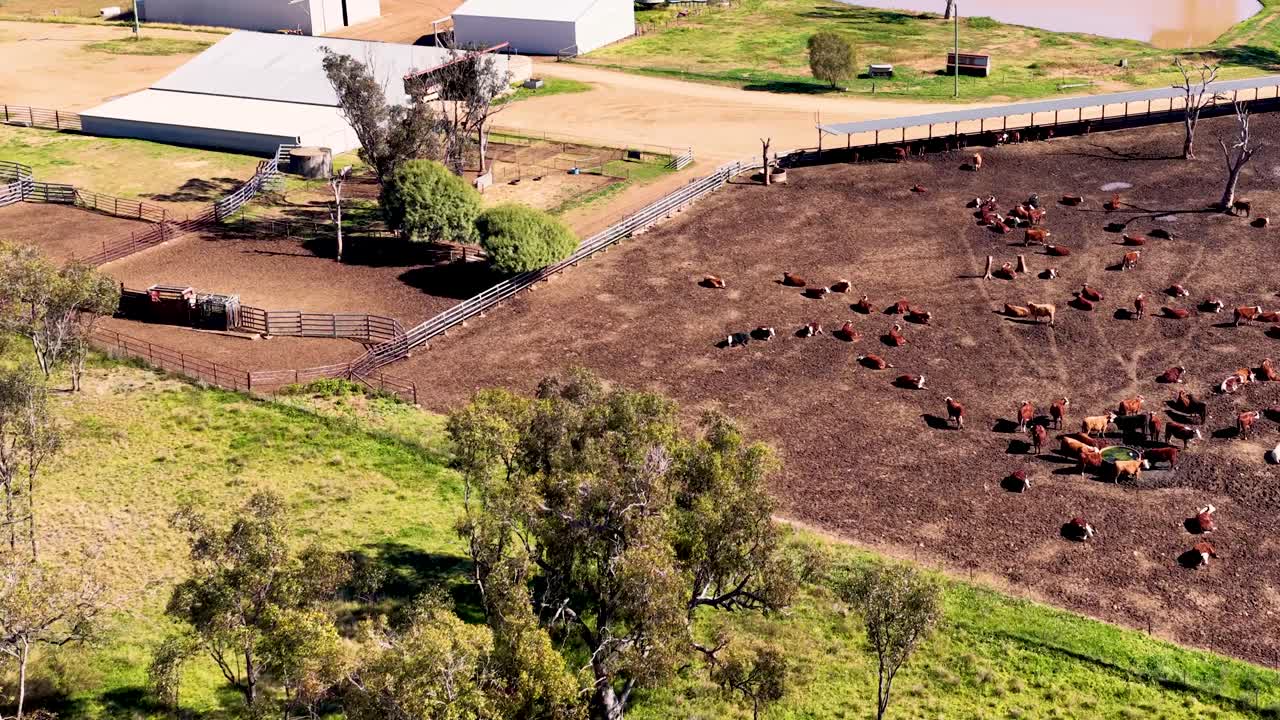Drone footage moves over a cattle yard, farm buildings, and green fields with ponds under bright daylight, capturing rural Australian farmland from above