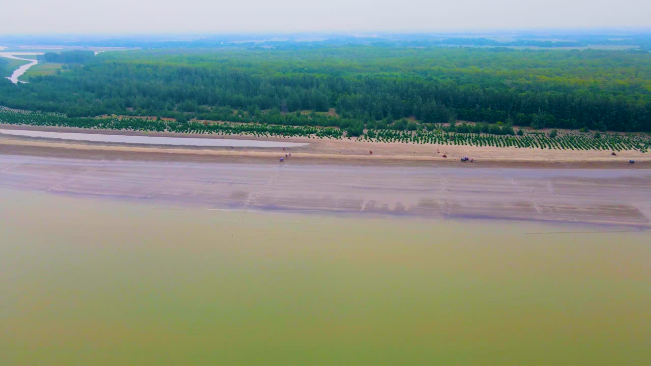 vista idílica de la playa de kuakata con bosques de sundarban en el fondo en bangladesh