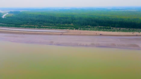 Idyllic-View-Of-Kuakata-Sea-Beach-With-Sundarban-Forests-In-The-Background-In-Bangladesh