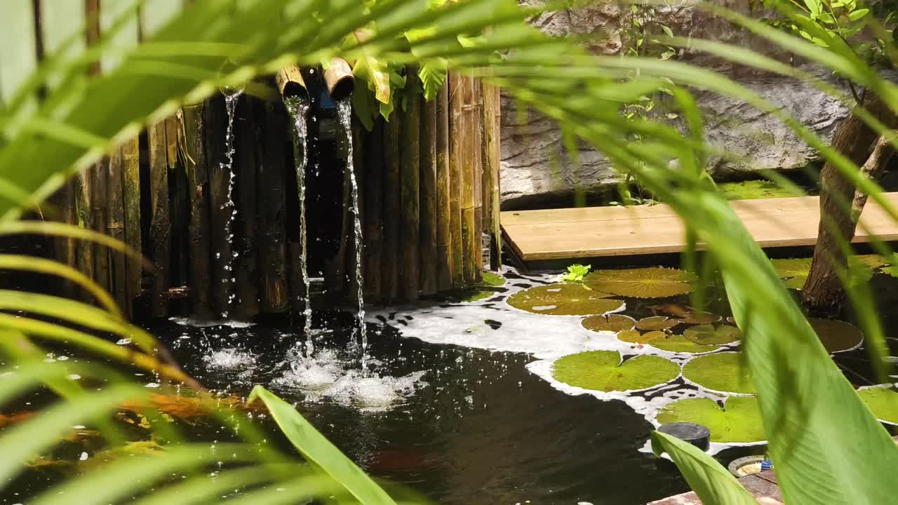 Elemento d'acqua tranquillo in un giardino tropicale