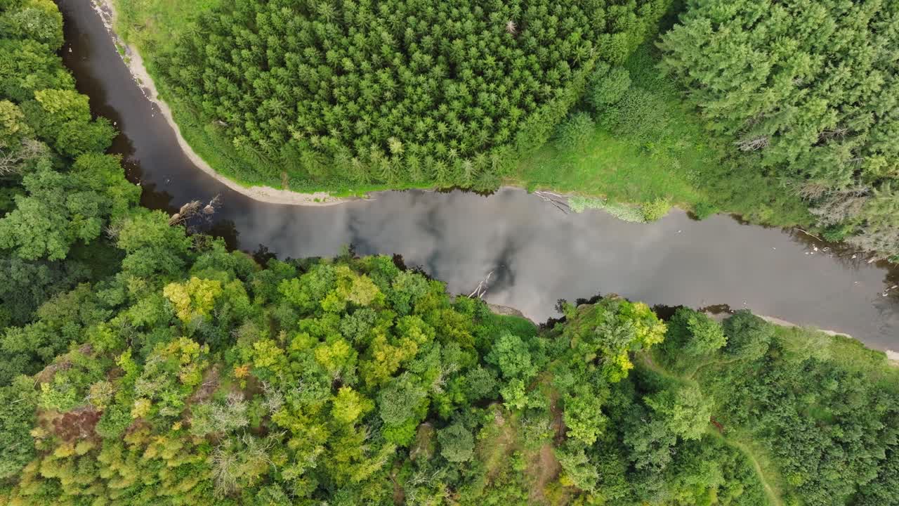 vista aérea del río que fluye a través del bosque