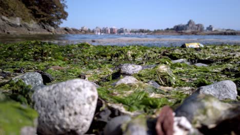 Pollution on the beach in Canada