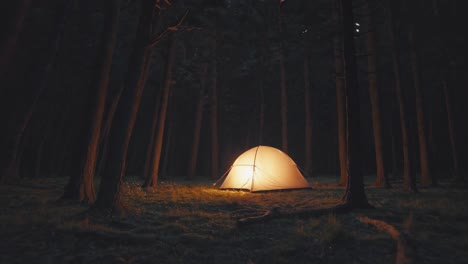 illuminated tent glows warmly in the heart of a dark forest at night, creating a cozy and inviting atmosphere amidst the mysterious woods