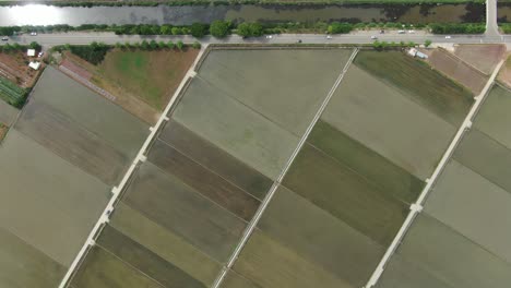 square korean paddy fields, incheon