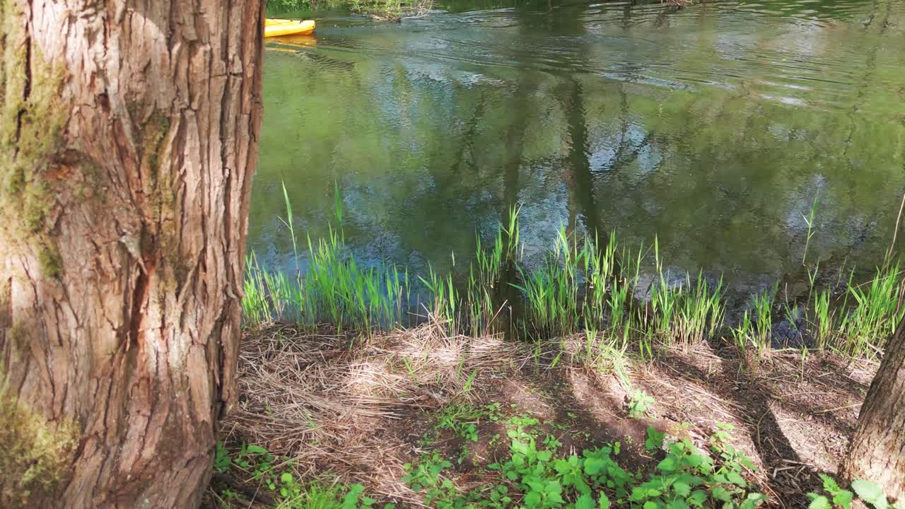 Green riverbank, calm water reflecting trees, and a person kayaking nearby, fishing with corn
