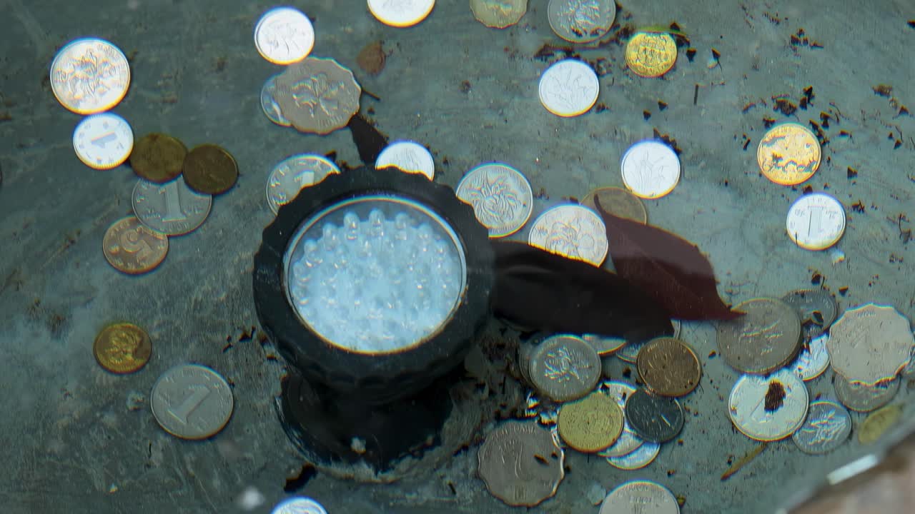 A collection of coins encircles a fountain light, accompanied by a single fallen leaf.
