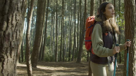 young couple hiking in forest on sunny autumn day