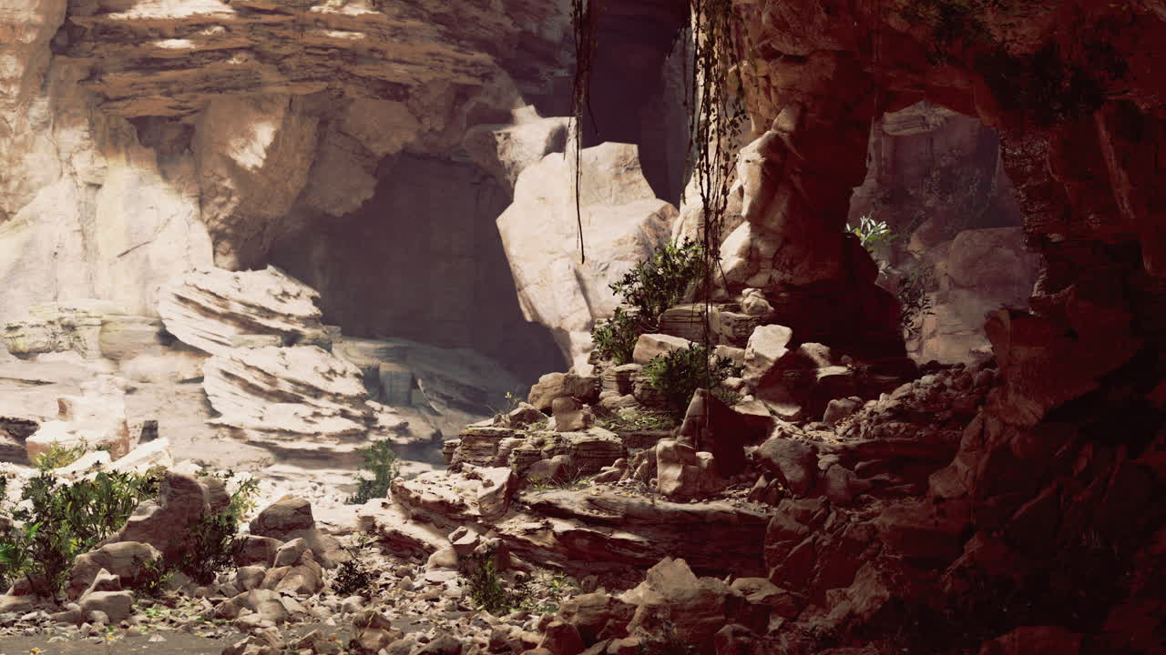 Desert canyon landscape revealing rock formations and plant life at midday