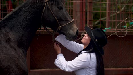 caballo marrón oscuro siendo acariciado por su dueña vaquera