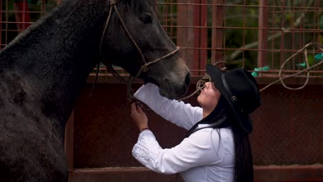 dark brown horse being petted by her cowgirl owner