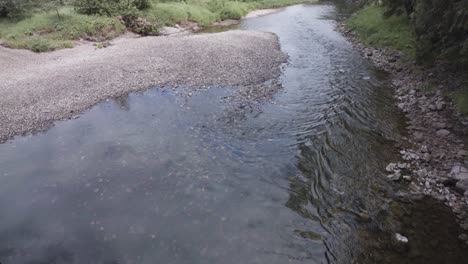 river flowing through a forested area