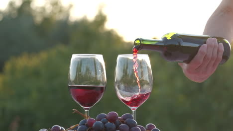 pouring red wine in glass at slow motion