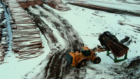 wheel loader in action at the sawmill as it expertly measures logs with its grapple bucket and specialized sizing instrument