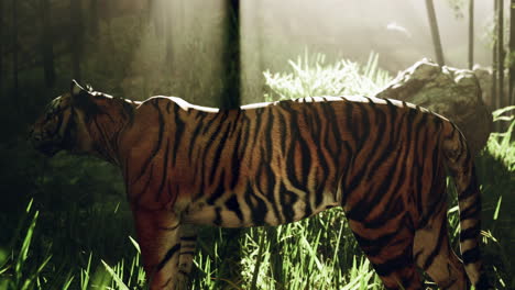 majestuoso tigre en una selva exuberante