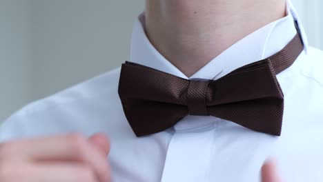 man straightens a bow tie close up slow motion a man in a white shirt with his hands corrects the butterfly