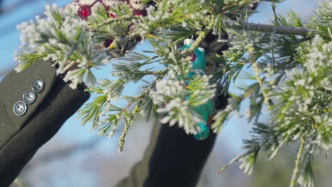 寒い晴れた冬の日に赤いミトンでクリスマス ツリーの枝を飾る