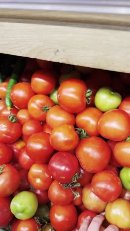 picking tomatoes from a grocery display