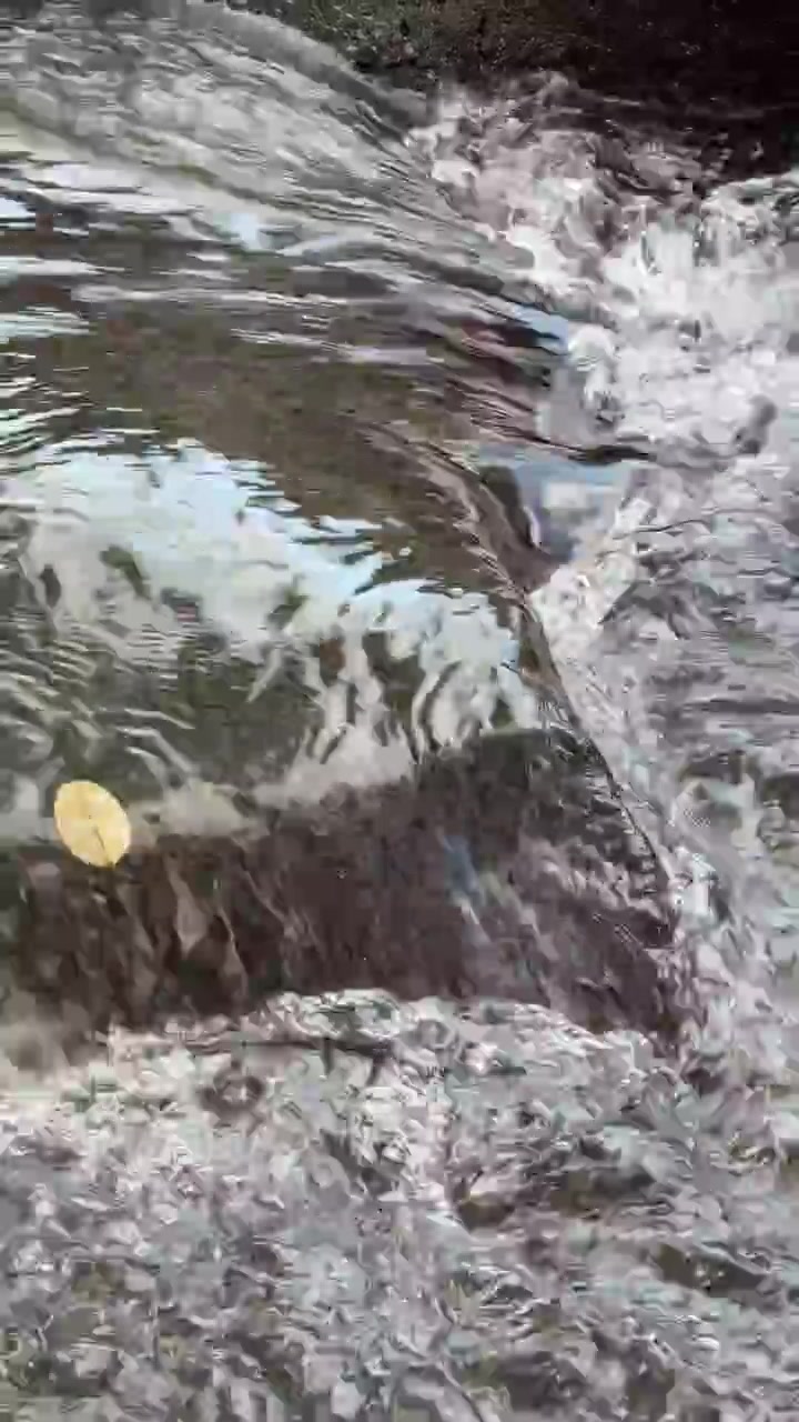Acqua cristallina che scorre sulle rocce in un ruscello naturale.