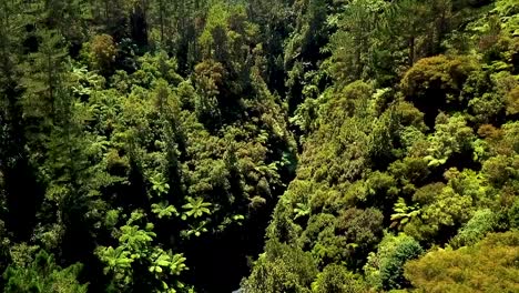 A-gorgeous-crystal-clear-river-of-natural-spring-water-flowing-through-the-mountains-of-New-Zealand