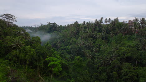 aerial drone forward over ubud pristine and lush jungle, bali in indonesia