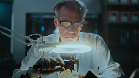 scientist examining a fossil in a laboratory