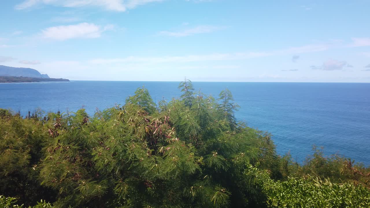 Gimbal wide panning shot of the rural northern coastline of Kaua'i from Kilauea Point in Hawai'i