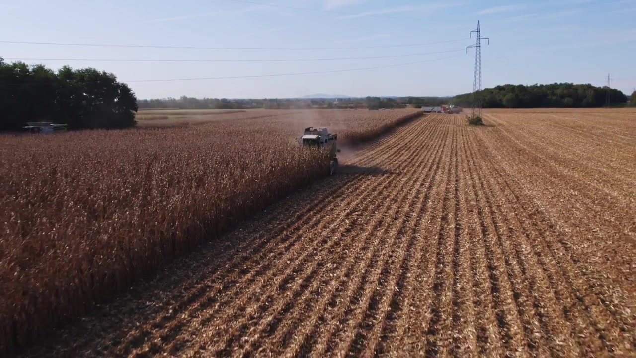 Vista aerea di una mietitrebbia che raccoglie il mais in un campo durante la stagione del raccolto in Slovenia.