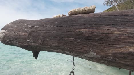 dead timber fallen on water's edge, washed by the turquoise koh hey sea, thailand - wide push in gimbal shot