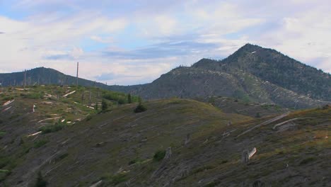 The-slopes-of-Mount-St-Helen's-and-the-national-park-show-new-growth-years-after-the-eruption