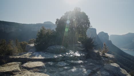 POV-hiker:-walking-on-high-rocky-summit-plateau-towards-green-tree-at-edge-of-cliff-with-scenic-view-of-mountain-range-in-background-with-sun-flare,-handheld