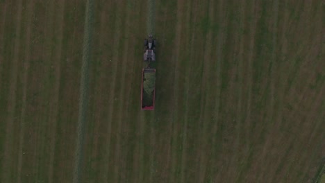 Top-down-view-of-tractor-mowing-and-collecting-grass-at-dutch-meadow,-aerial