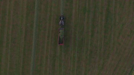 vista desde arriba de un tractor cortando y recolectando hierba en el prado holandés, desde el aire