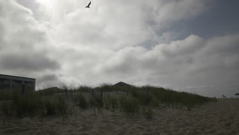 OBX-dune-with-grass-and-blue-sky-1