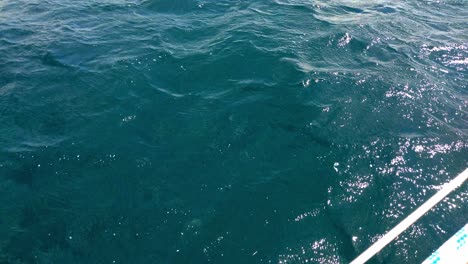 view of a greenish slightly dark and wavy sea from a sailing yacht on a sunny summer day