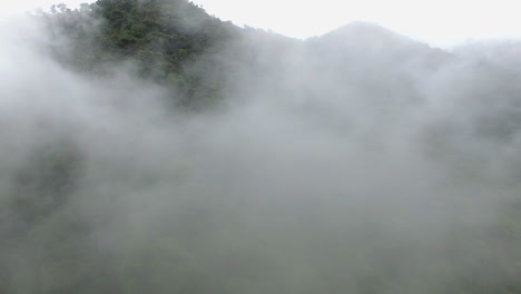 aerial flying through amazon forest mist fog