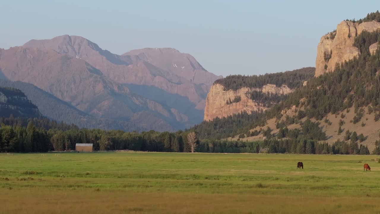 A horse grazes peacefully in a wide green valley beneath the Wyoming mountains at sunset