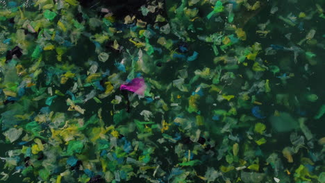 plastic bags floating in sea, damage to environment