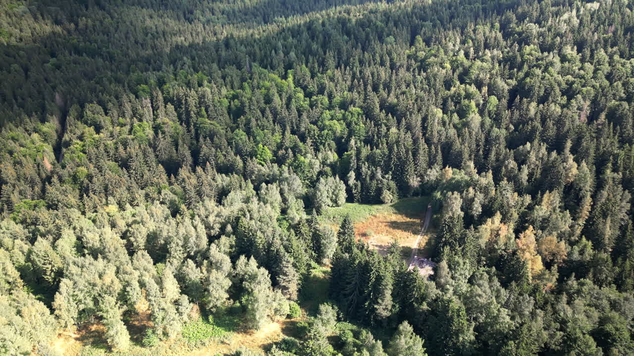 la vista aérea se aleja de la cabaña de senderismo y revela las montañas boscosas de vitosha