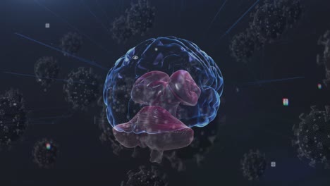 animación de las células de covid 19 con el cerebro humano girando
