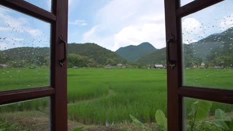 Mirando-Por-La-Ventana-Abierta-Del-Dormitorio-Hacia-Una-Exuberante-Pradera-De-Arroz-Verde