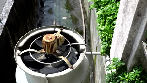 3 phase induction motor. the function is to drain or pump water. the exterior is old and rusty.