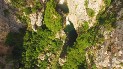 people swimming in river near waterfall, green nature and rocks