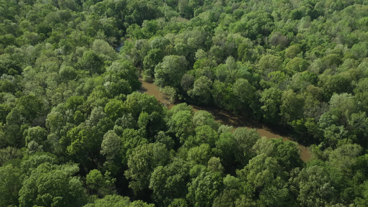 el río wolf serpenteando a través de la exuberante vegetación en collierville, tennessee, vista aérea